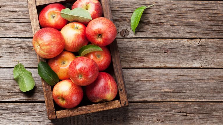 Ein Apfel deckt zwei Drittel des Tagesbedarfs an Vitamin C
