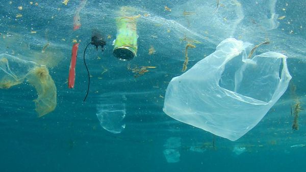 Čistíme moře od plastů