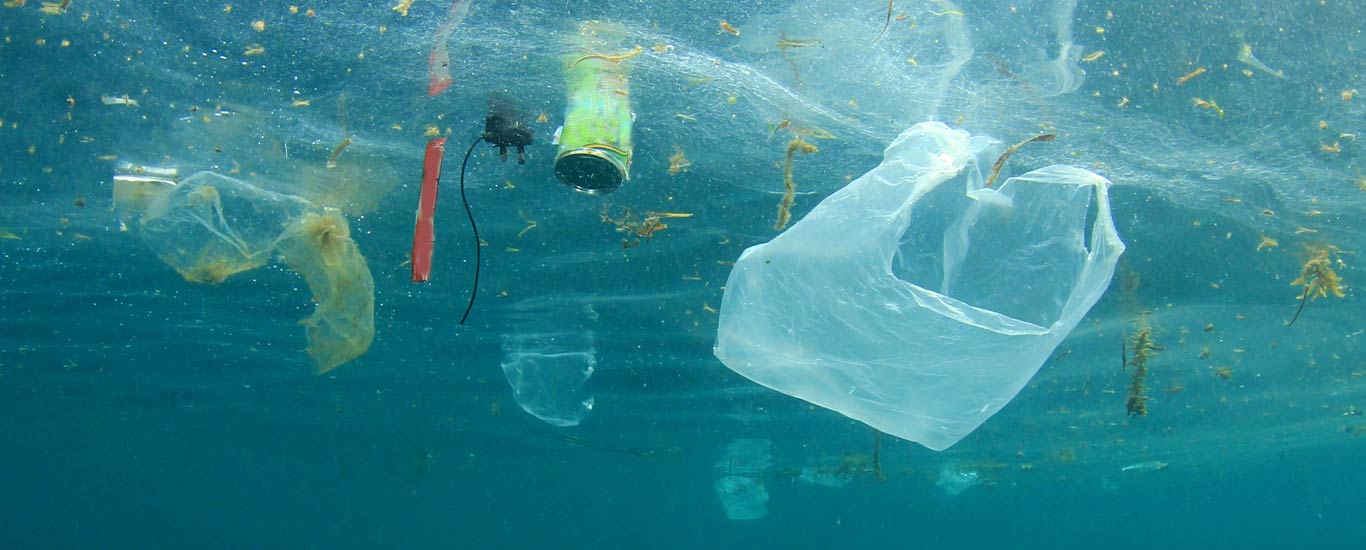 Non au plastique dans les océans!